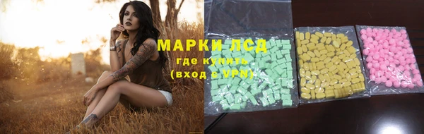 ECSTASY Алзамай