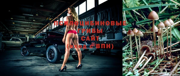 соль курить ск Алексеевка