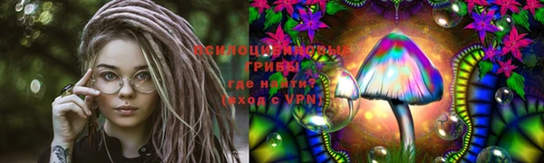 ECSTASY Алзамай