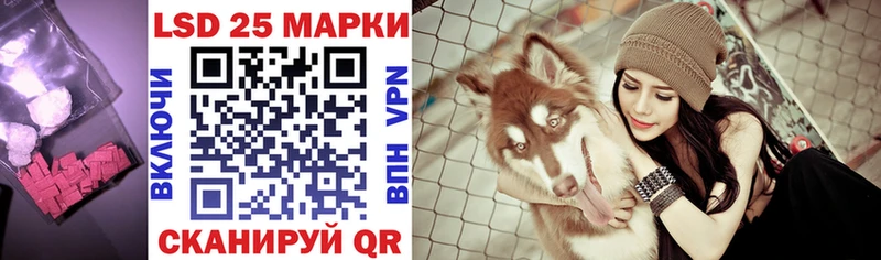 купить закладку Тара Лсд 25 экстази кислота