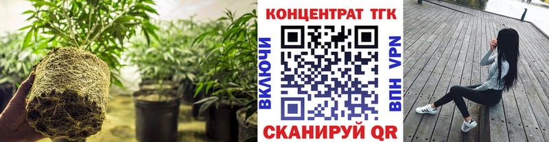 ТГК жижа  Тара 
